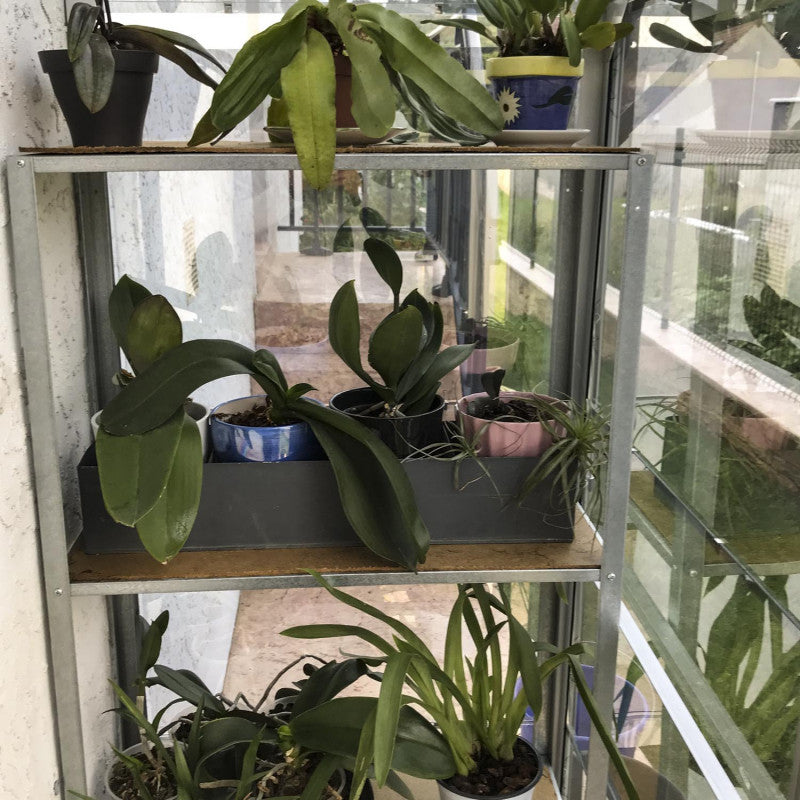 serre_exterieur_verre-pas_cher-francaise