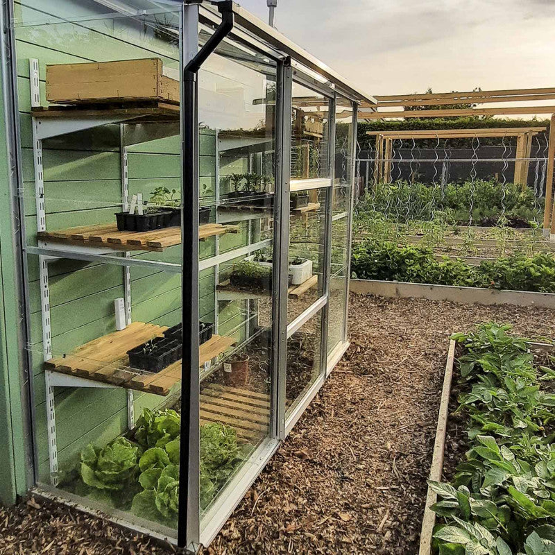 serre_exterieur_verre-pas_cher