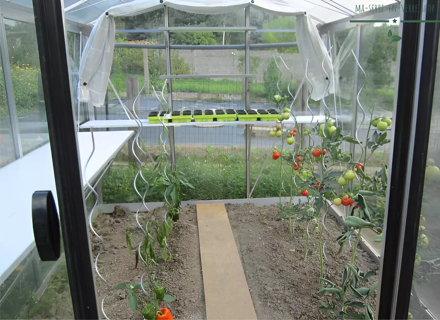 serre_verre-6m2_ACD_aluline