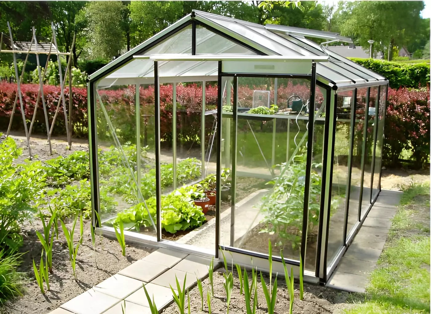 serre_verre-6m2_ACD_belgique