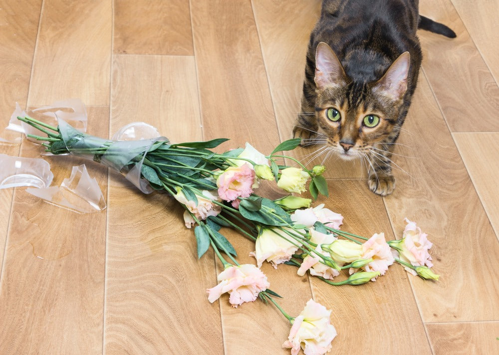 Recoller Réparer un Vase en Verre Cassé