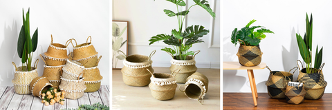 Cache Pot & Panier Thaïlandais