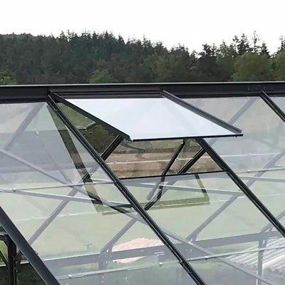 Lucarne de Toit Supplémentaire