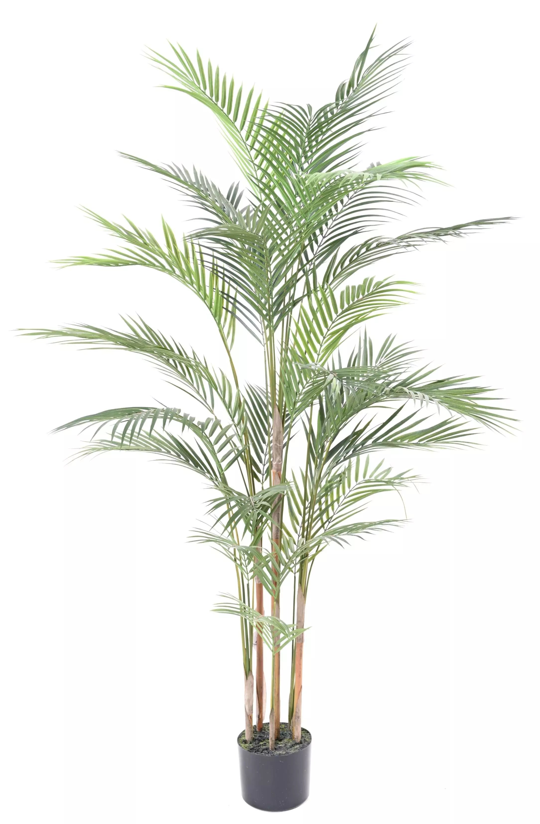 Areca Artificiel - 150 cm