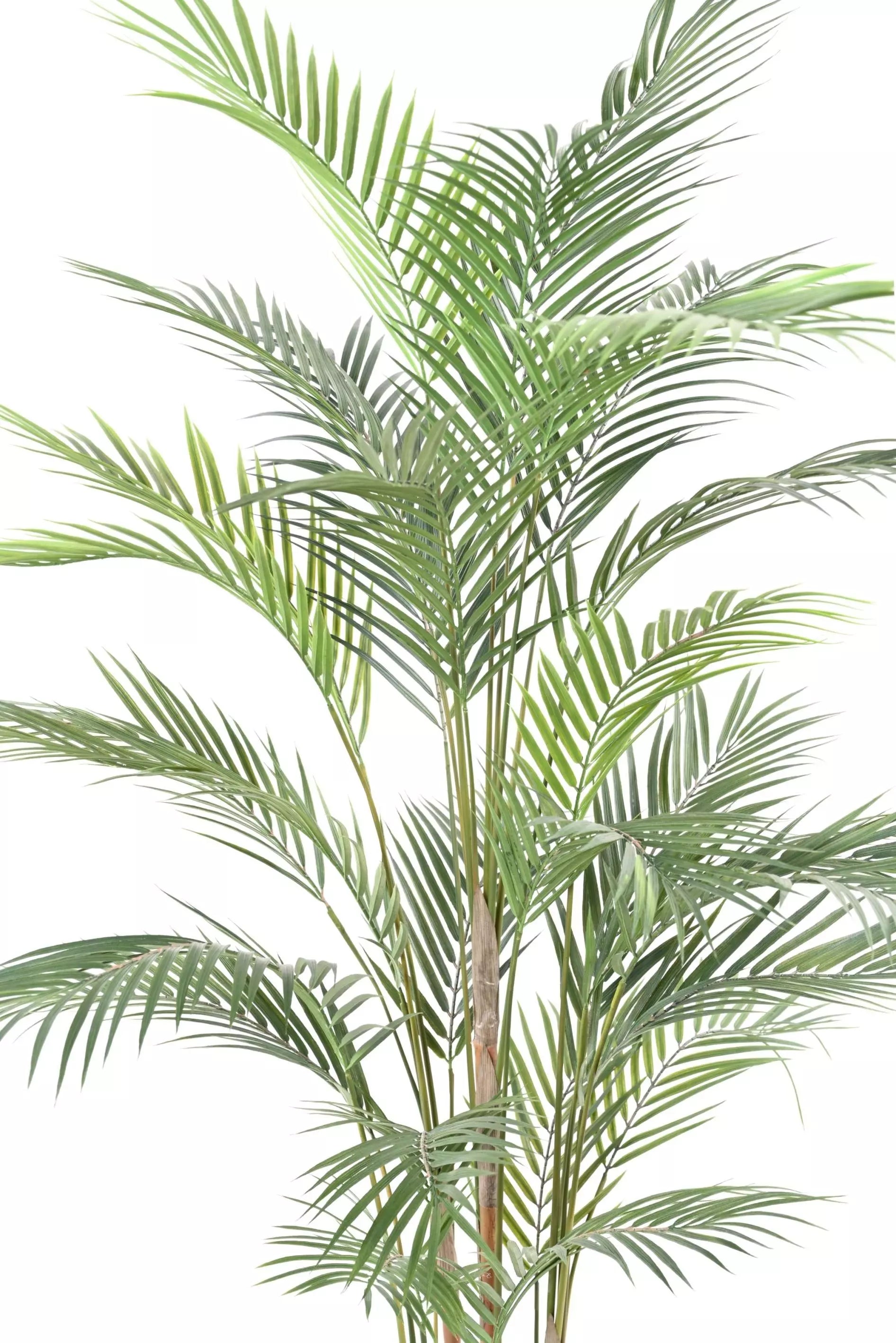 Areca Artificiel - 150 cm