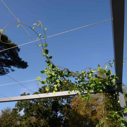 Pergola <br> Roof