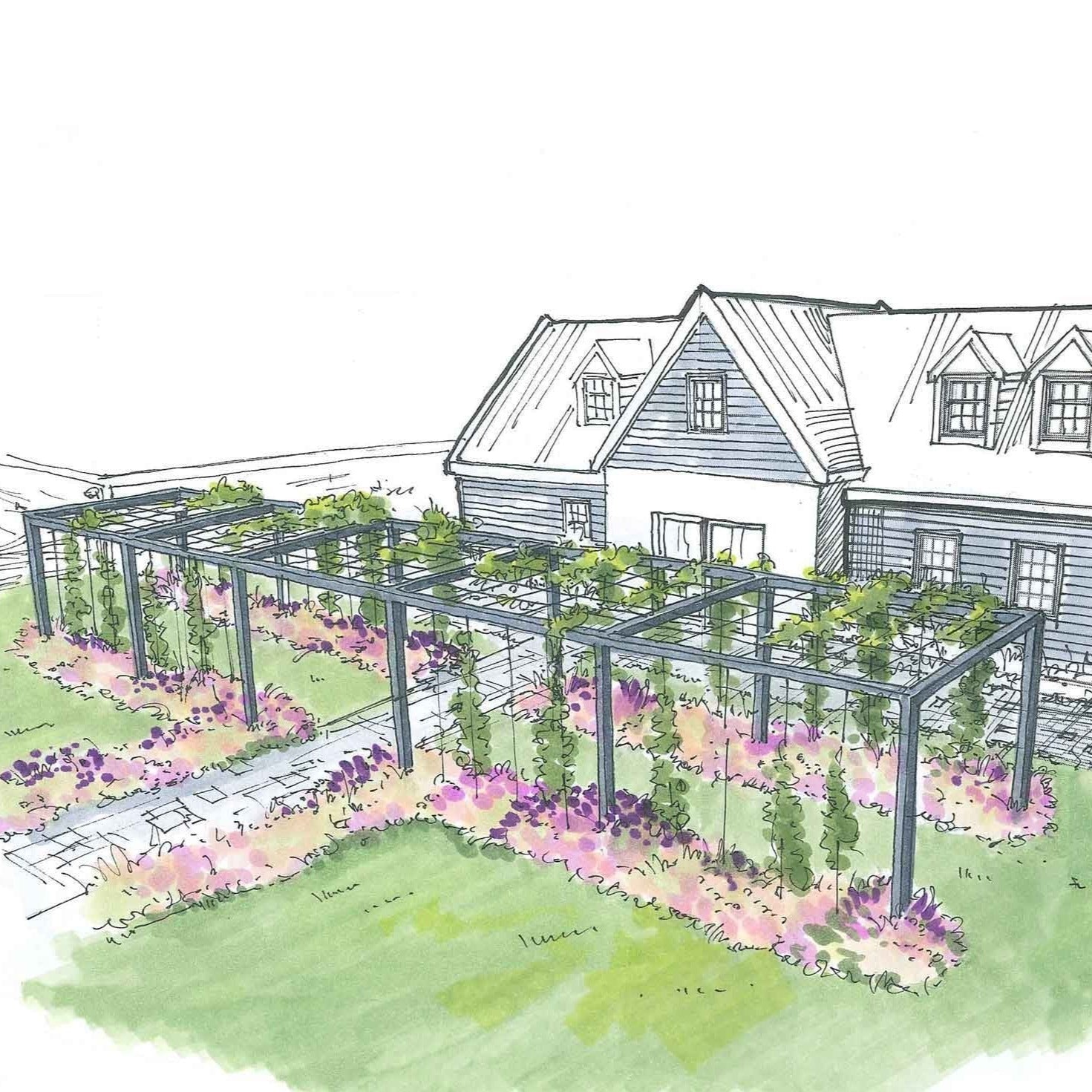 Pergola_Aluminium_exterieur_pour_PlantesGrimpantes_dessin