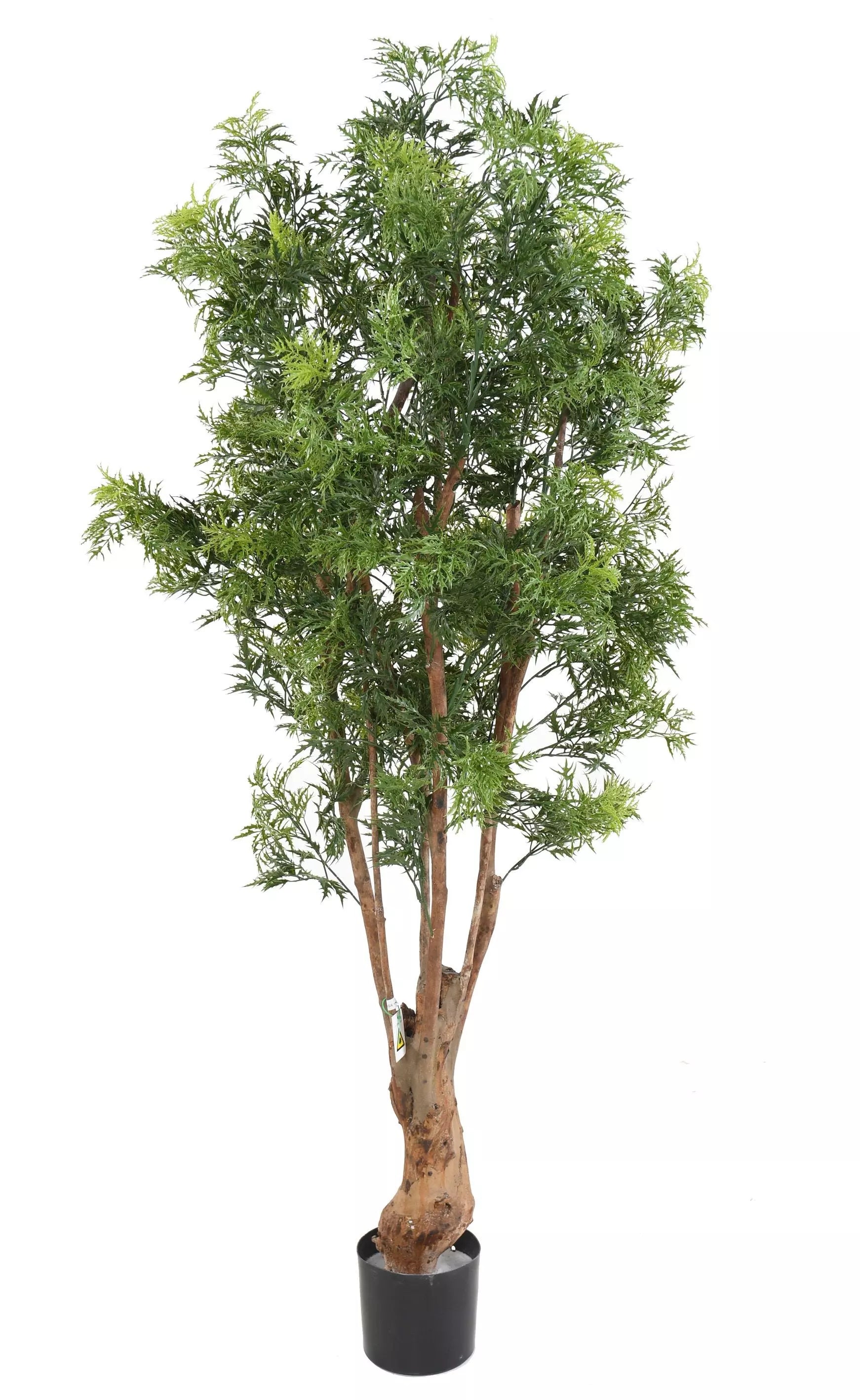 faux aralia artifciel