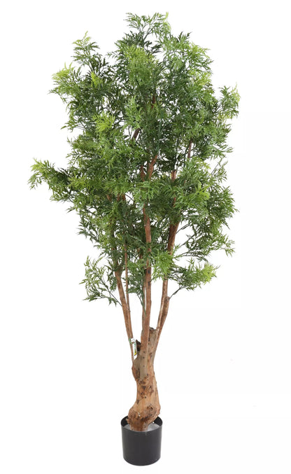 faux aralia artifciel