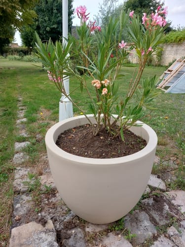 Photo de l'avis de Brigitte C.
