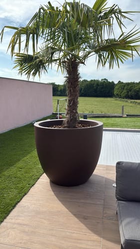 Photo de l'avis de Cédric
