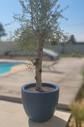 Photo de l'avis de Jérémie