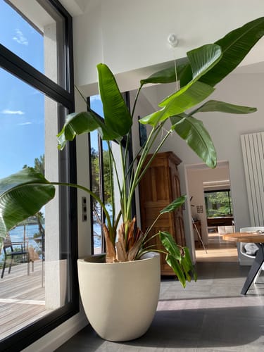 Photo de l'avis de Catherine