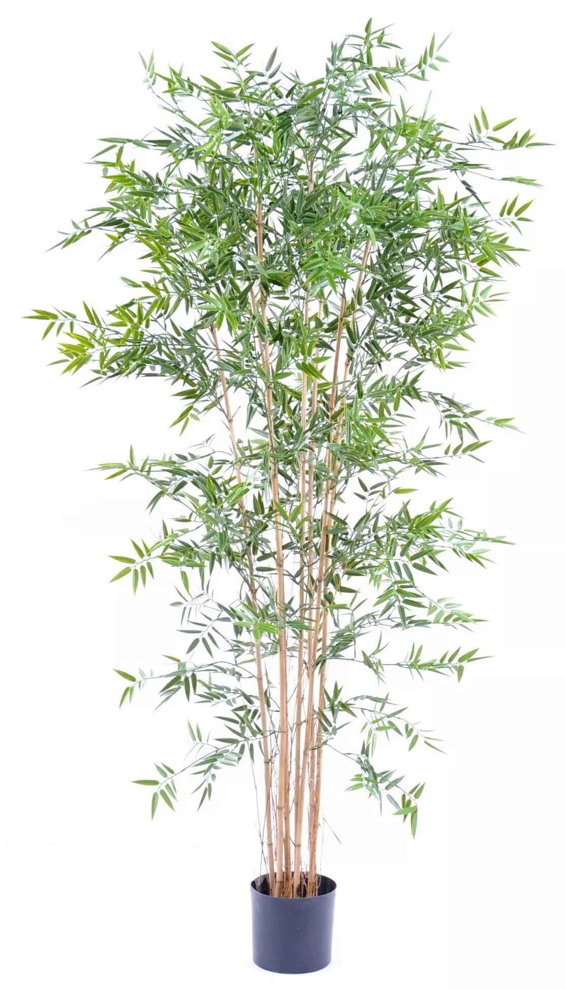 Bambou Artificiel Japonais - 240 cm