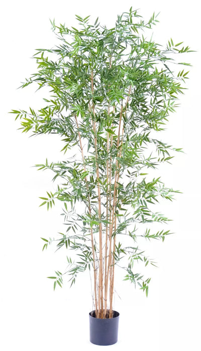 Bambou Artificiel Japonais - 240 cm