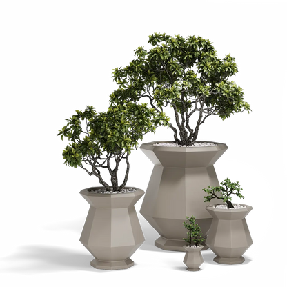 Pot - Kashi