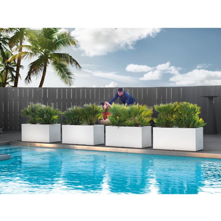 Sitemapcdatahttpsmodeinf Inetcombac A Fleurs Exterieur Grande Taille Truffaut