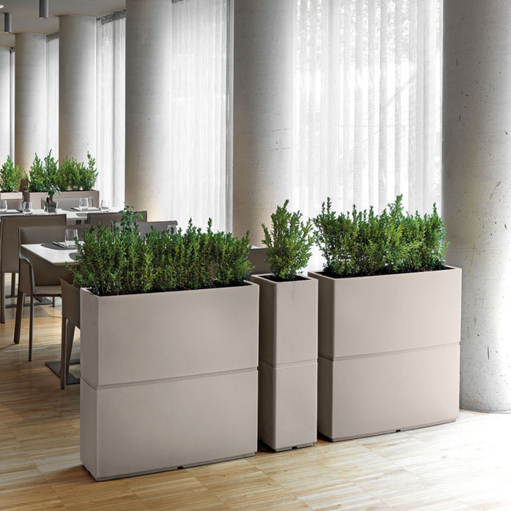 Sitemapcdatahttpsshopinf Inetcombac A Fleurs Exterieur Grande Taille Truffaut