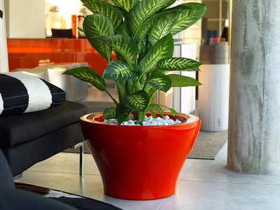 jardiniere vasque rouge