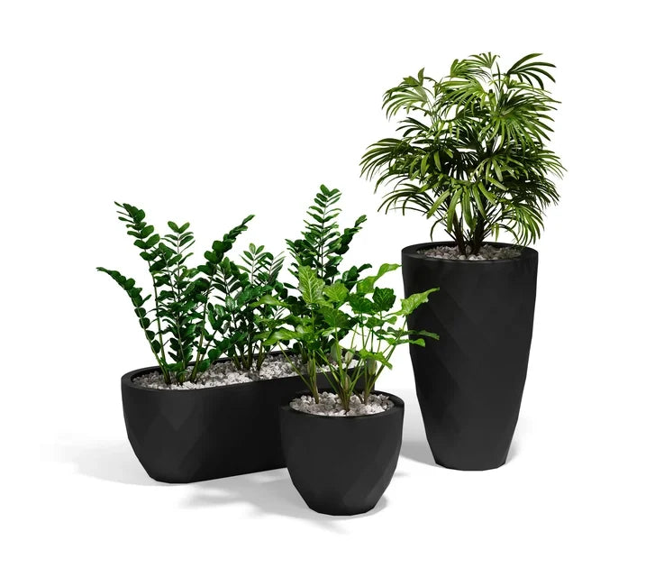 Trois jardinières Vases noires plantées
