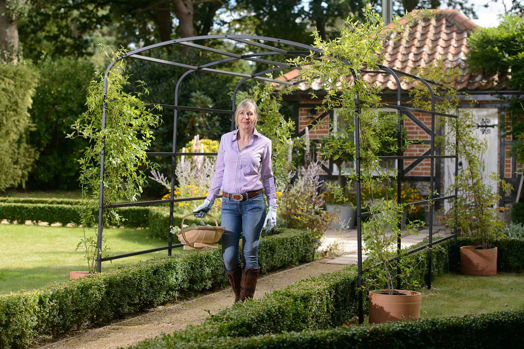Arche De Jardin En Acier Plein