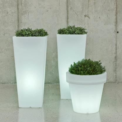 Pot - Melisa LED