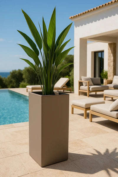 Pot - Cosmos Colonne