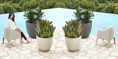 pot de fleurs vasque rond grande taille