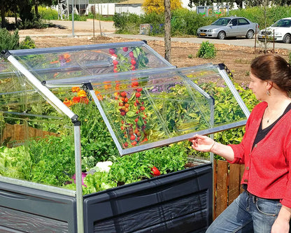 Serre - Plant Inn 1,4m²