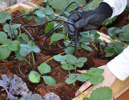 Kit Irrigation Serre