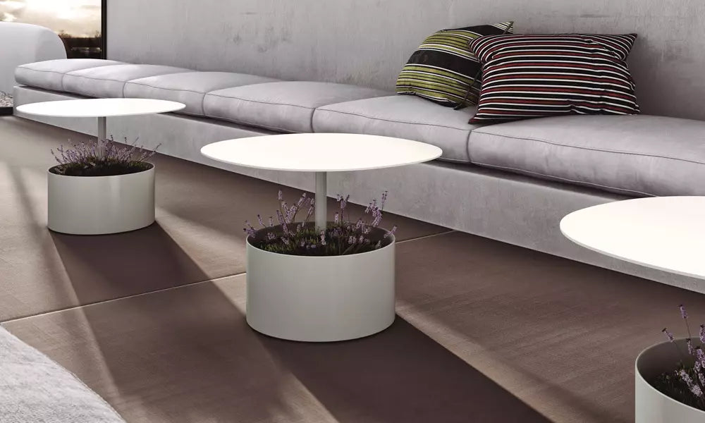 table-basse-plante-design