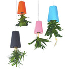 pots de fleurs suspendus à l'envers