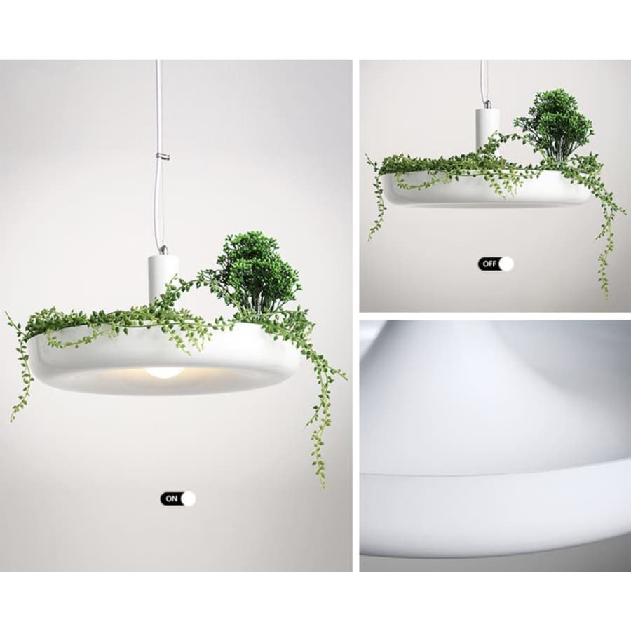 lampe végétale