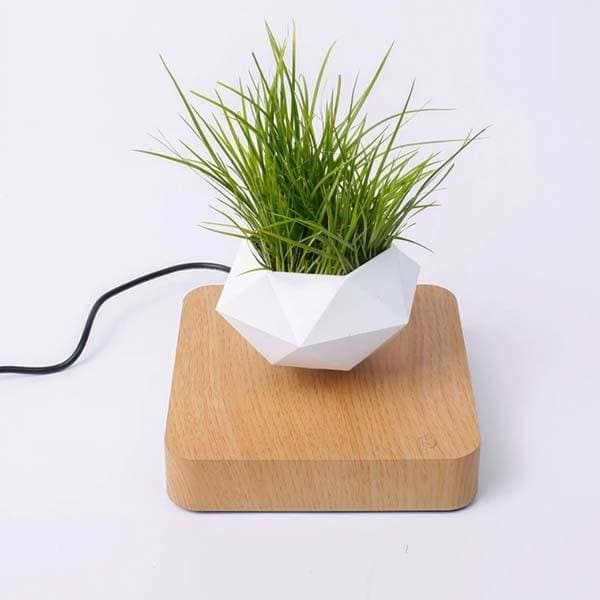 pot de fleurs flottant