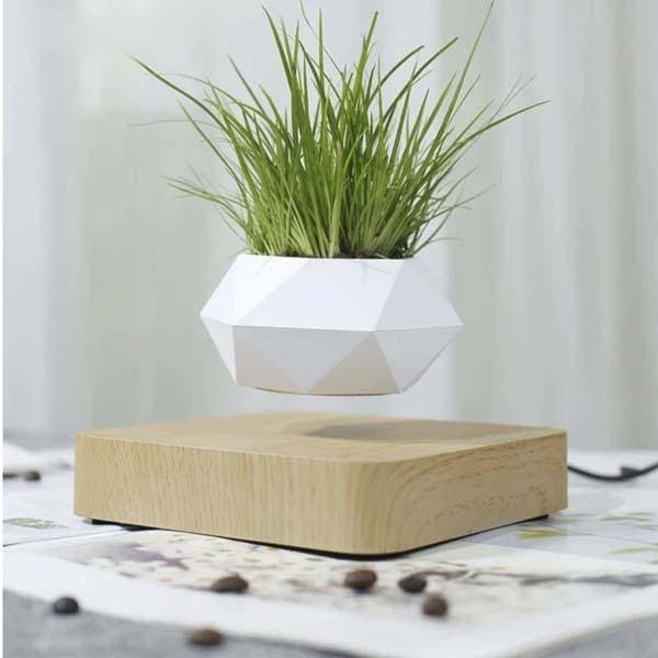 Pot de fleurs qui flotte