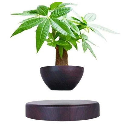 Pot <br> Babylonia
