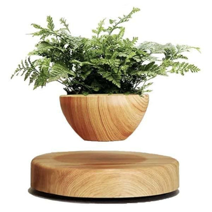 Pot <br> Babylonia