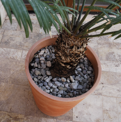 Pot - Gibraltar
