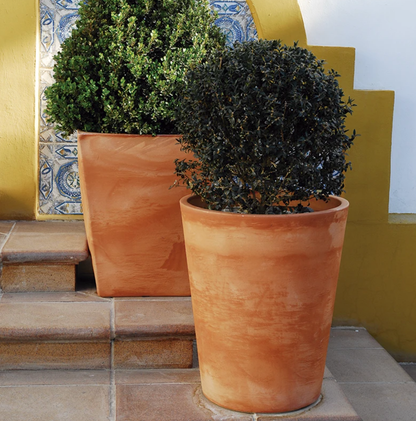 Pot - Gibraltar