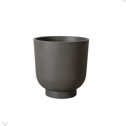 Pot - Bardi