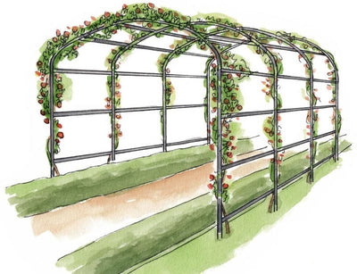 Arche de Jardin - Harrod