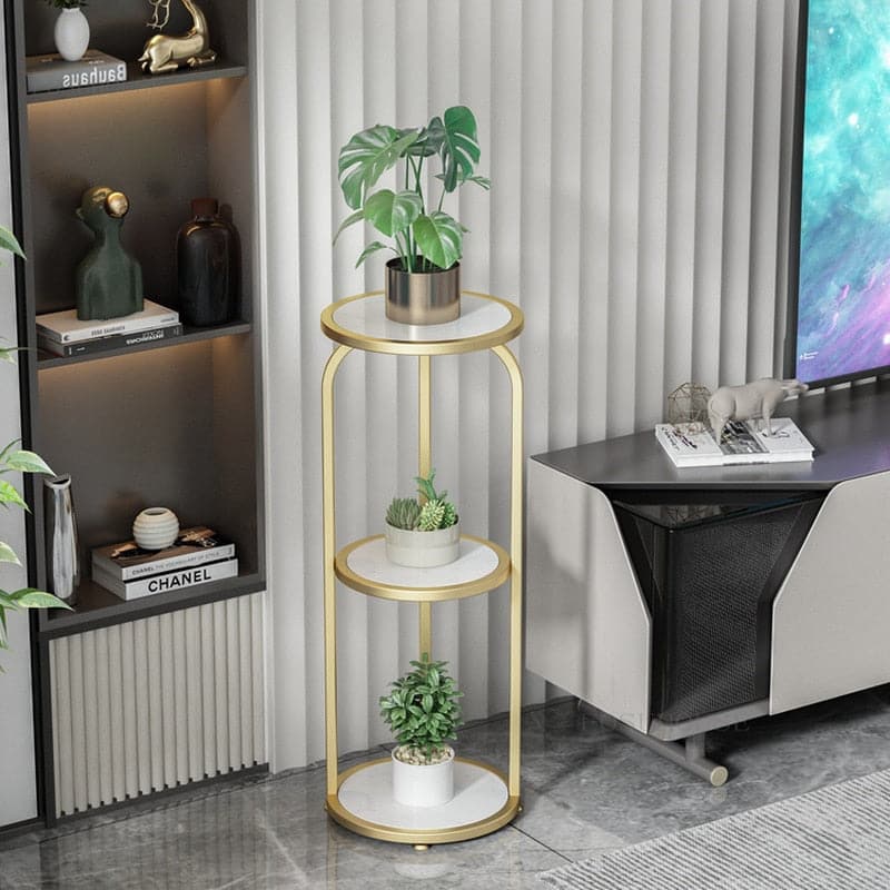 colonne-plante