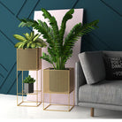 gros-support-plante
