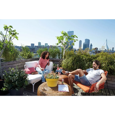 jardiniere_plante_plastique_interieur
