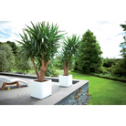     jardiniere_plastique_carre_50x50