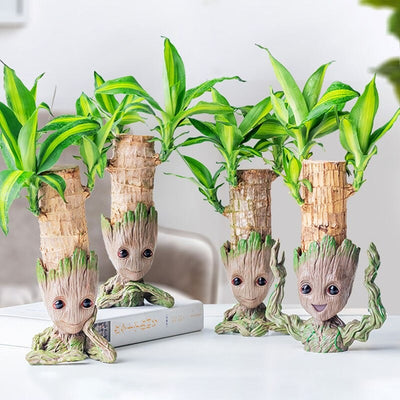 lot-cache-pot-groot