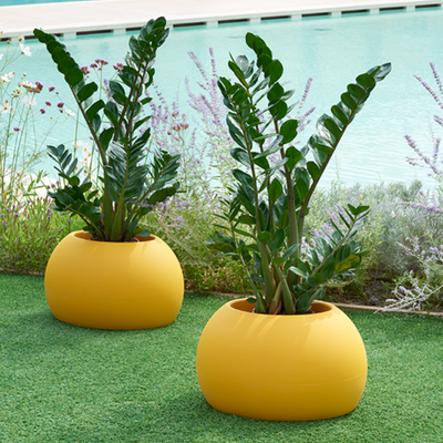 pot-fleurs-jaune-citron