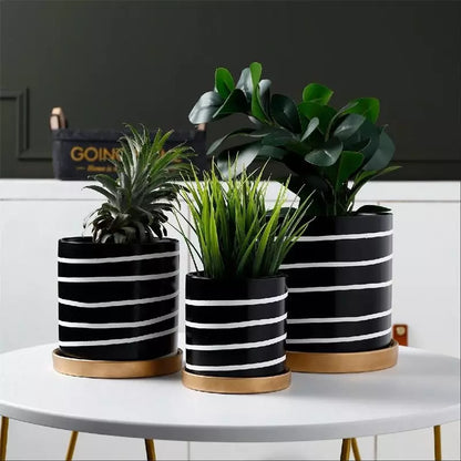 pot_blanc_noir