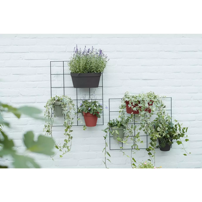 Pot Mural Plastique <br> Wall duo (x10)
