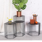 presentoir-plante